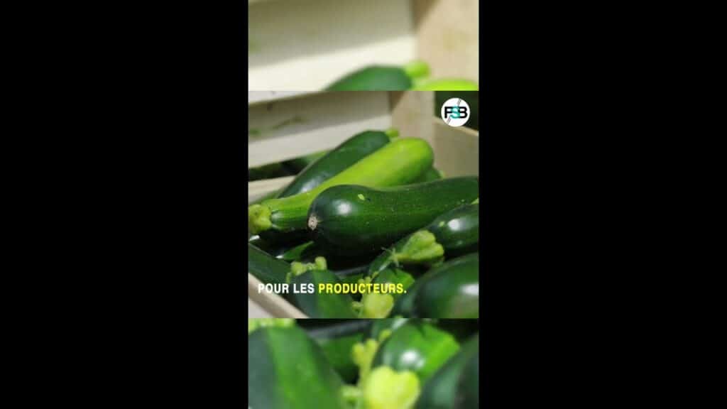 , Fontenay-sous-Bois,La Fontenaysienne