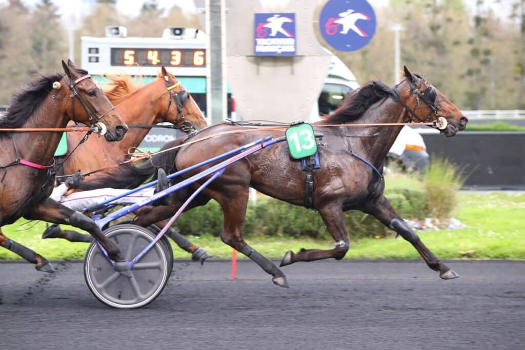 , Vincennes; Iris des Roseaux, favori de notre expert