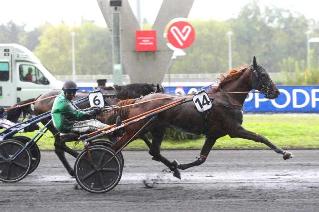 , Vincennes; Résultat et rapports Quinté+ Pmu Prix Rhodope à Paris-Vincennes le 19/06/2026. IRISH NICE ELGE finit le plus vite