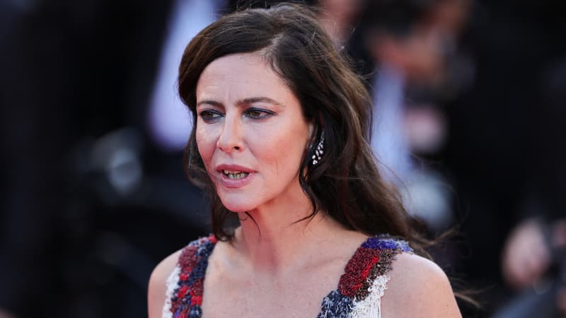 Anna Mouglalis, Pierre Lemaître... La liste des invités aux universités d’été de la France insoumise se dévoile