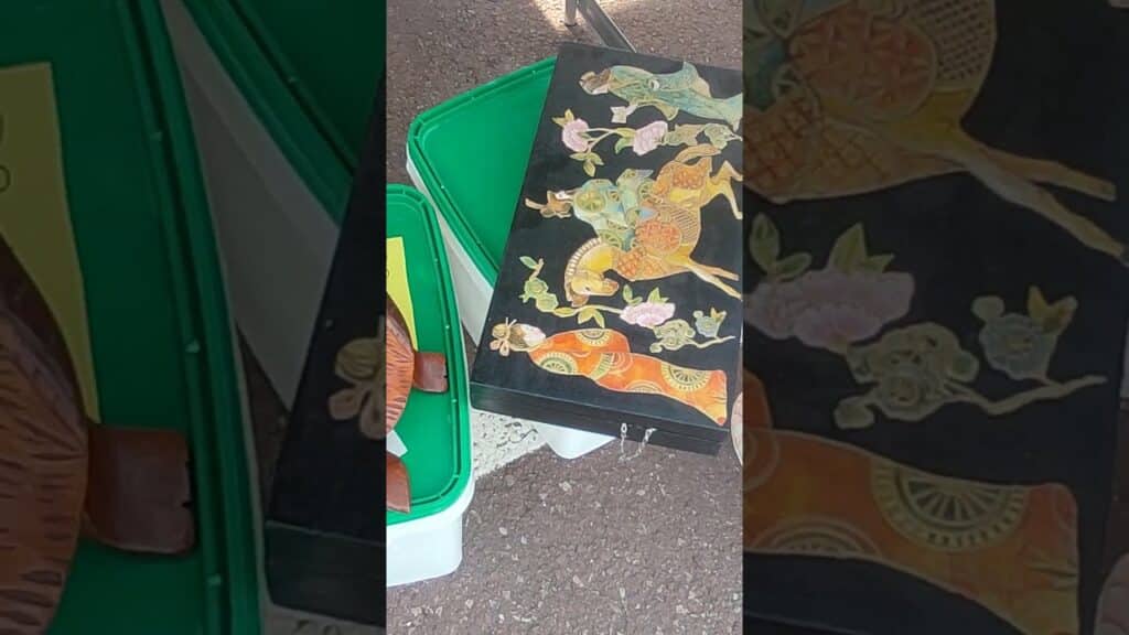 , Montreuil au bois,Découvertes étonnantes du marché aux puces: tortue des bois#belgique #vlog #travel #marché