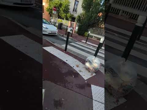 Image youtube