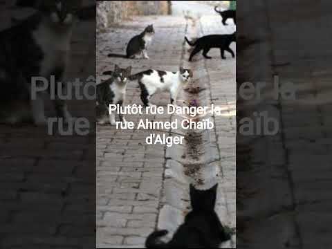 Image youtube