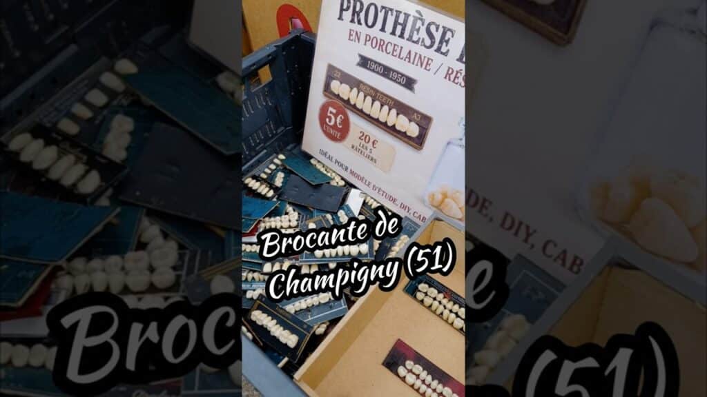 , Champigny-sur-Marne,Brocante à Champigny : Les Puces du Vignoble Champenois 🛒 #brocante #reims